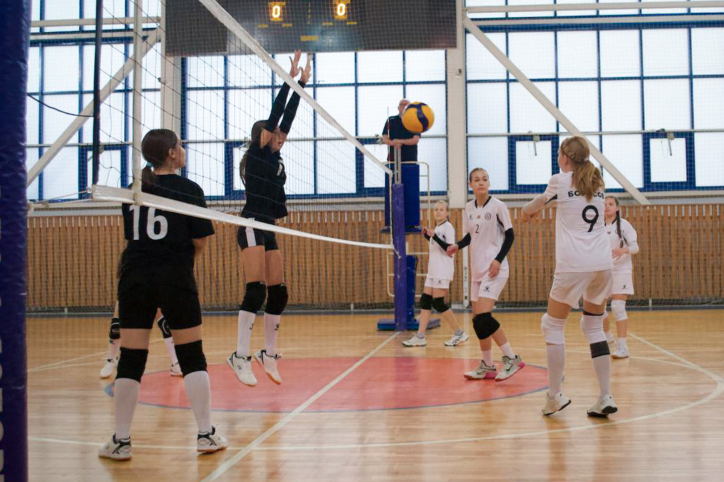 IMG_20251109_113553_524