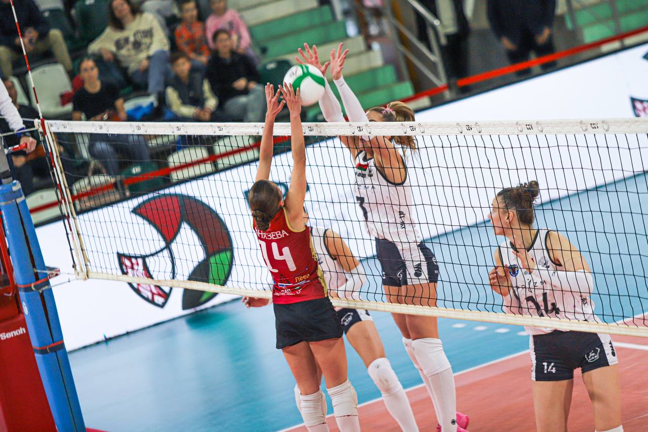 photo_2025-04-28 13.55.41