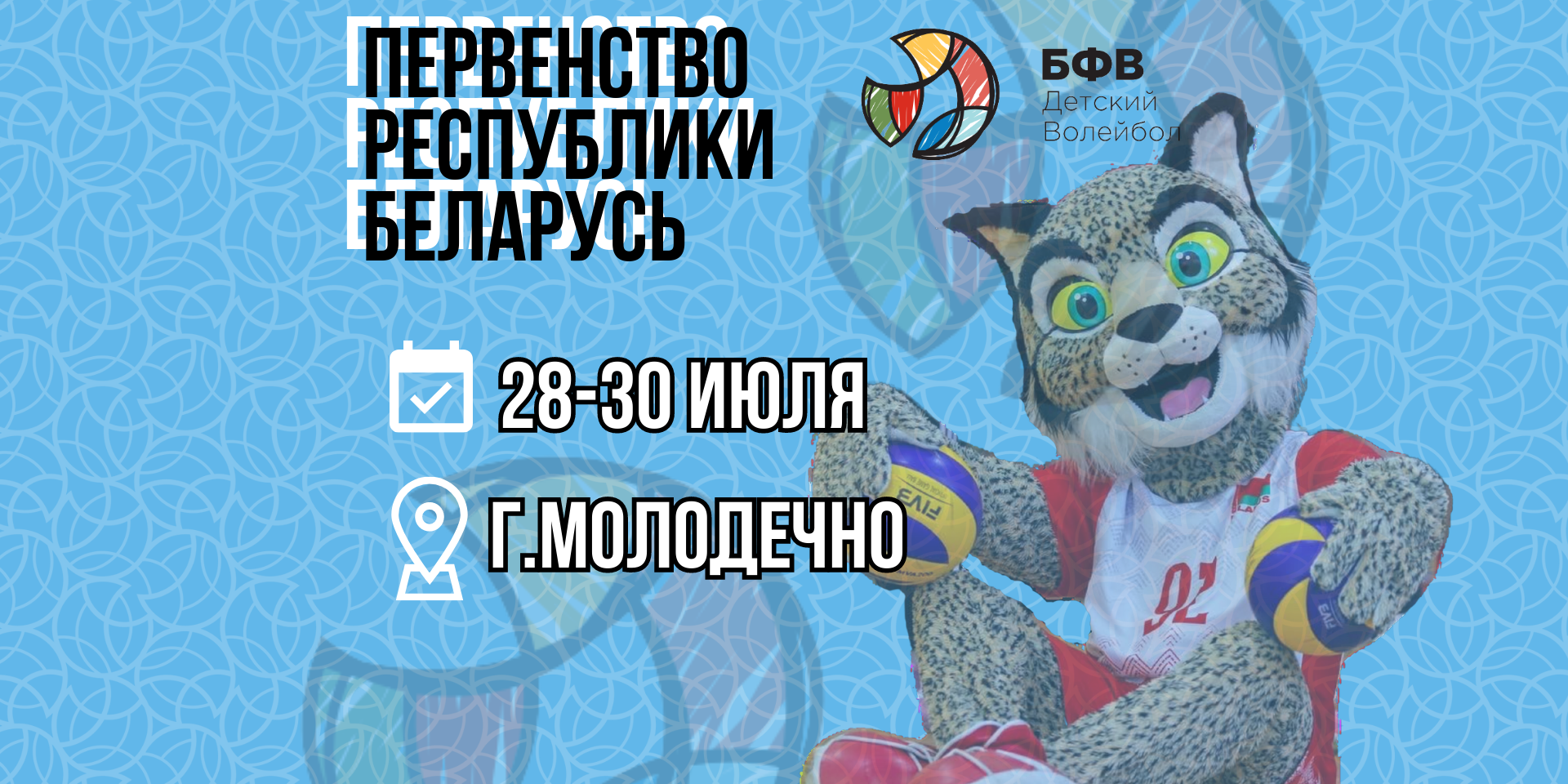 Первенство Республики Беларусь по волейболу – что нужно знать о событии? –  Белорусская Федерация Волейбола